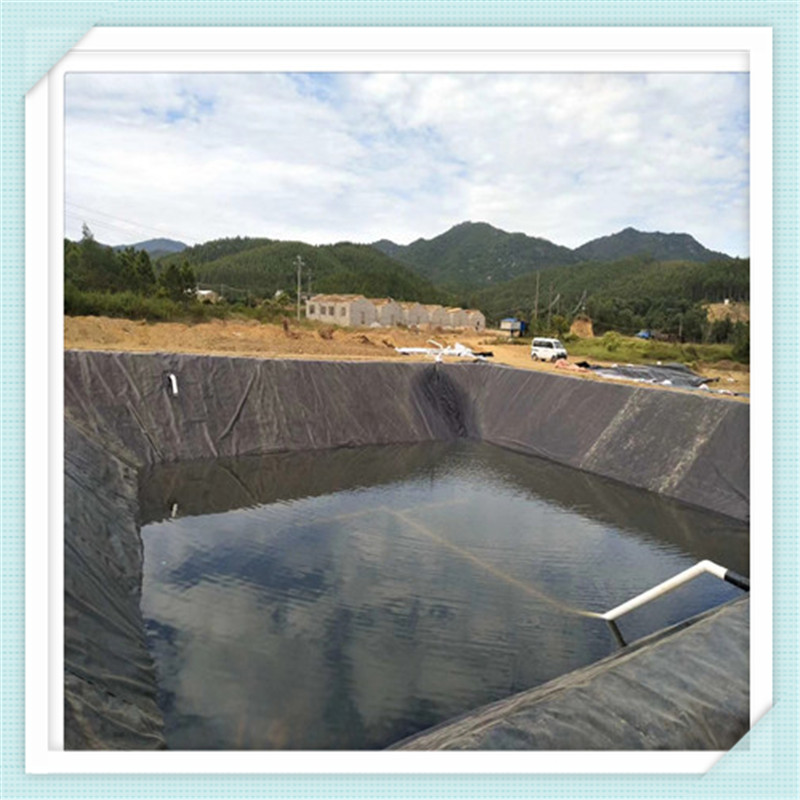 養(yǎng)殖場(chǎng)化糞池土工膜